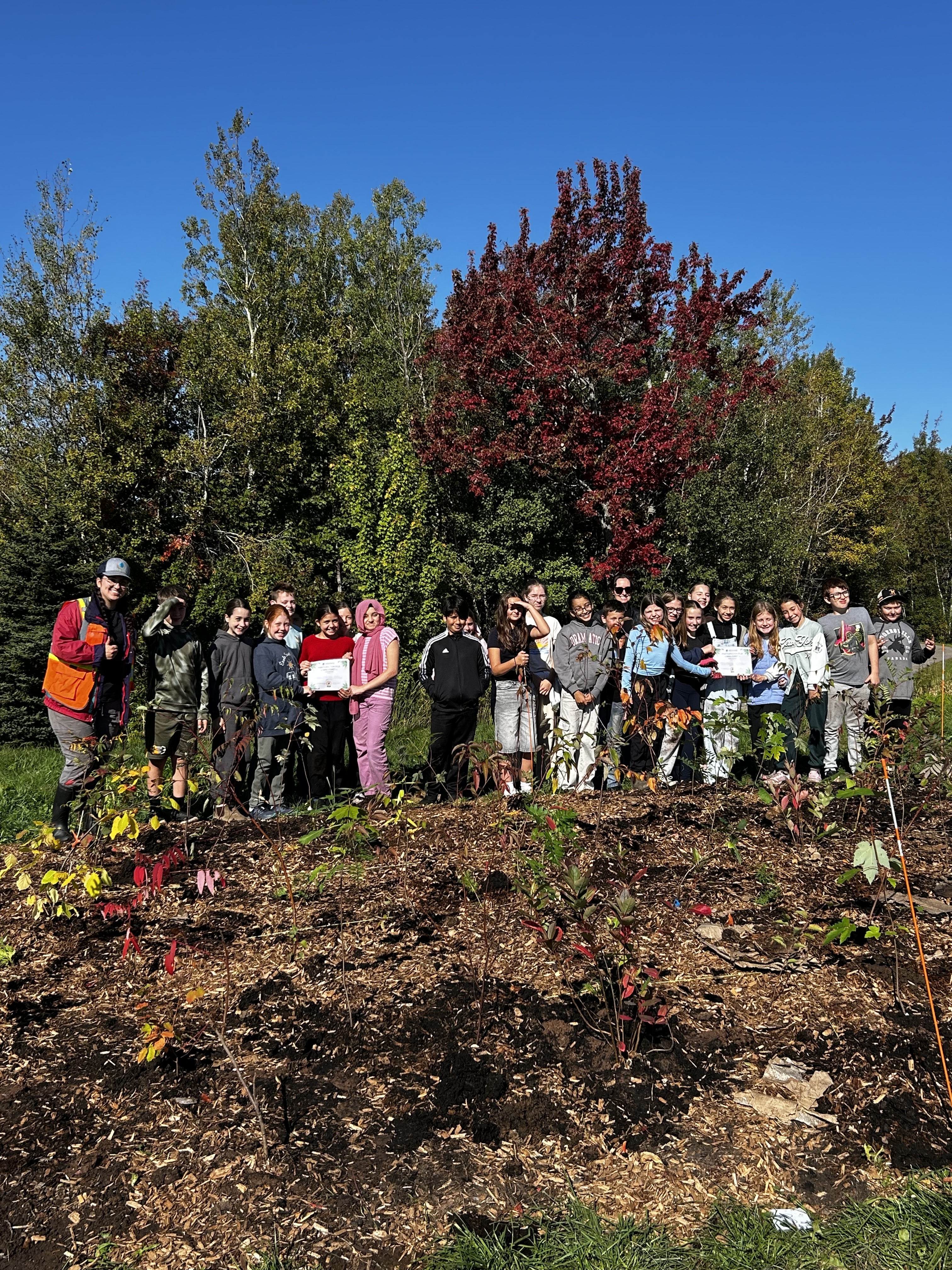 Une mini-forêt urbaine prend racine grâce à nos élèves